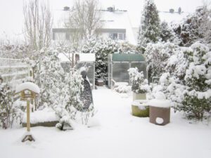 tips winterizing yard fall