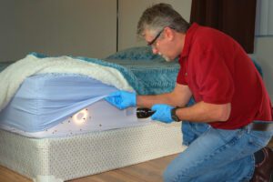 bed bugs basics causes locations