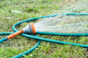 proper lawn watering drought