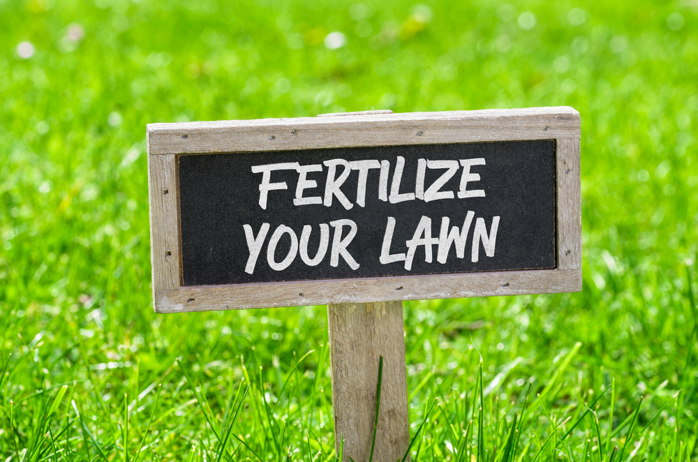 spring fertilizing cleaning lawn