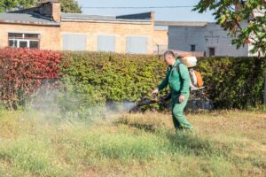 Pre-Emergent Herbicides for Weed Prevention