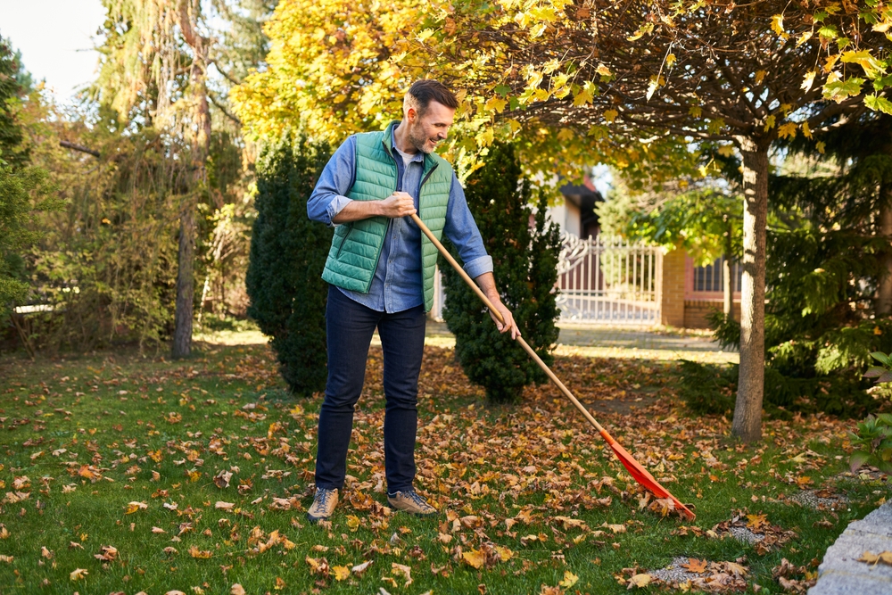 Ideal Time for Fixing Your Lawn