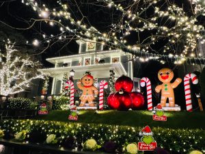 pest control, lawn maintenance