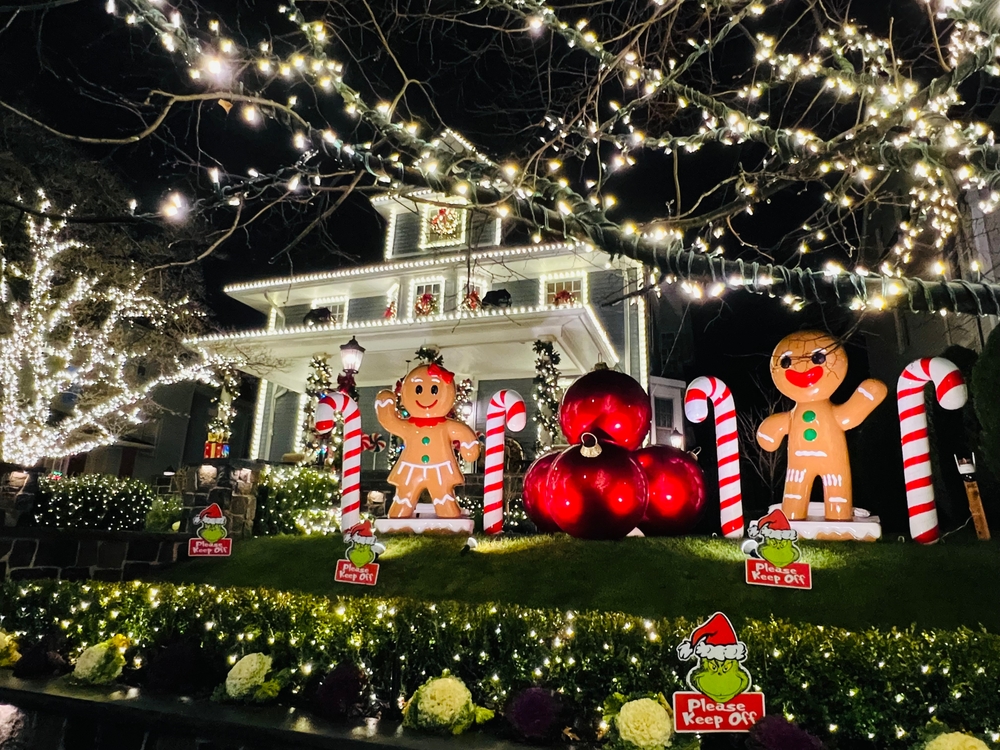 pest control, lawn maintenance