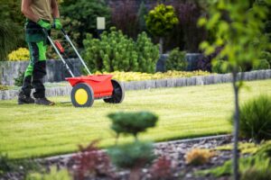 schedule lawn care services