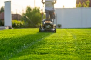 lawn maintenance